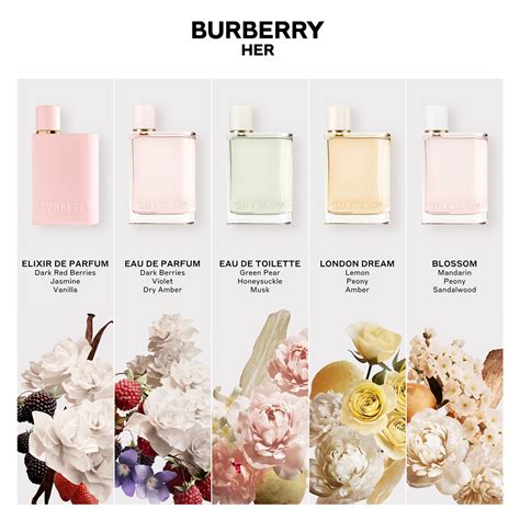 burberry for women notas|Burberry her eau de toilette.